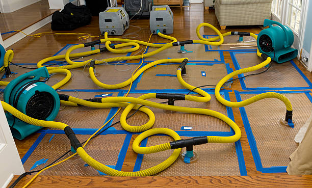 Professional Crawl Space Water Removal technician working in Rochelle, VA